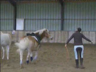 1ère démo (1er Nov.)