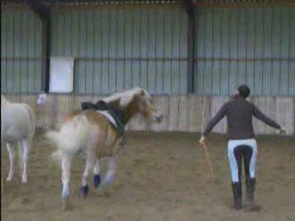 1ère démo (1er Nov.)