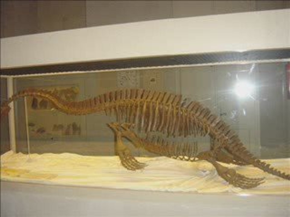 LES CAUSSES A LA PREHISTOIRE