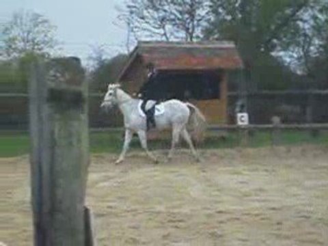 Dressage du CCE a Argences