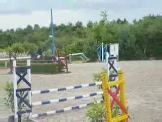Jument saut