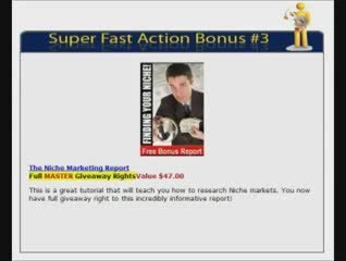 Niche Blogger DX - Your Money Making Blog Arsenal!