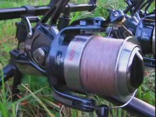 saison 2009 définitif