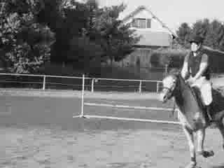 saut d'obstacle