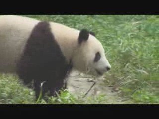 Planète Jeunesse - Chine