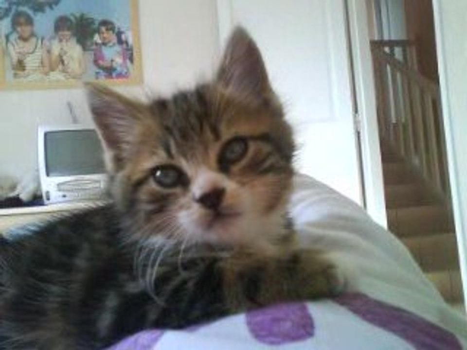 Eliot  2