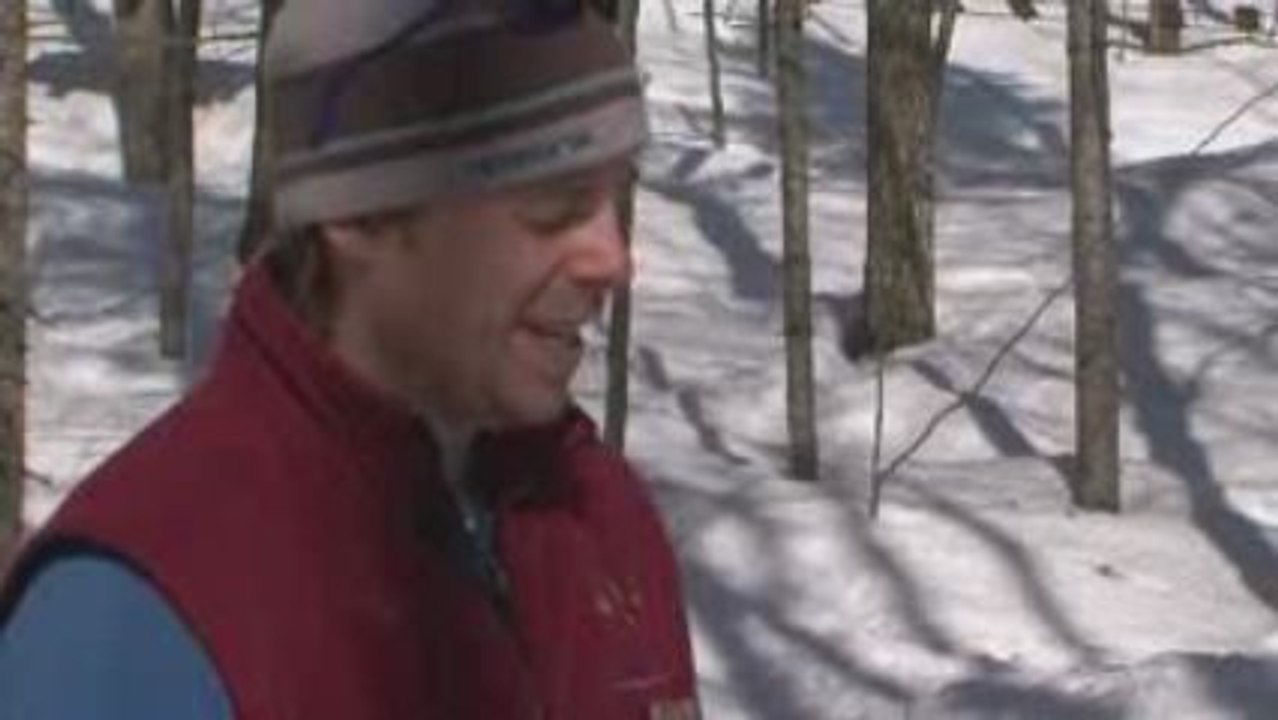 Quebec in winter - a travel guide