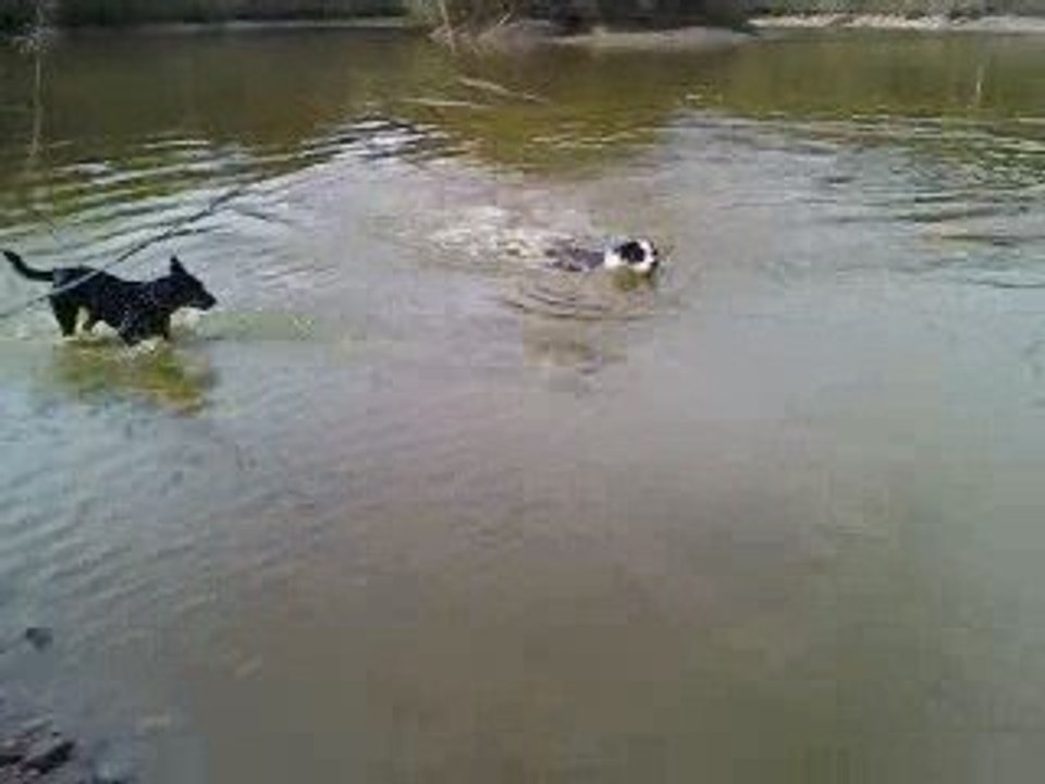 Eider Parc  01.11.09