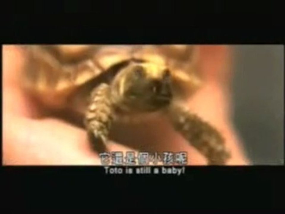 Gamera l'héroïque, le trailer