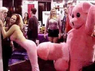 Swagga Wolf- Fais ton choix