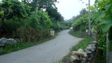 Rali Vila Verde 2006