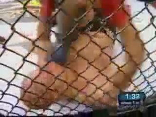 Fedor Emelianenko VS Brett Rogers