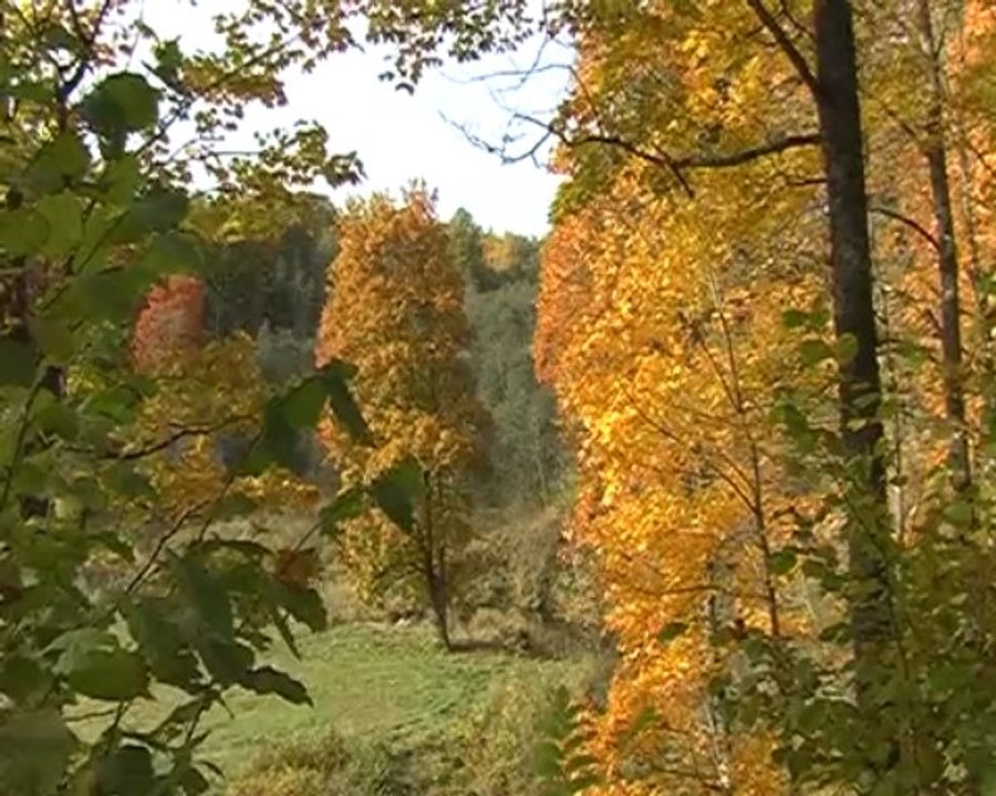 fall