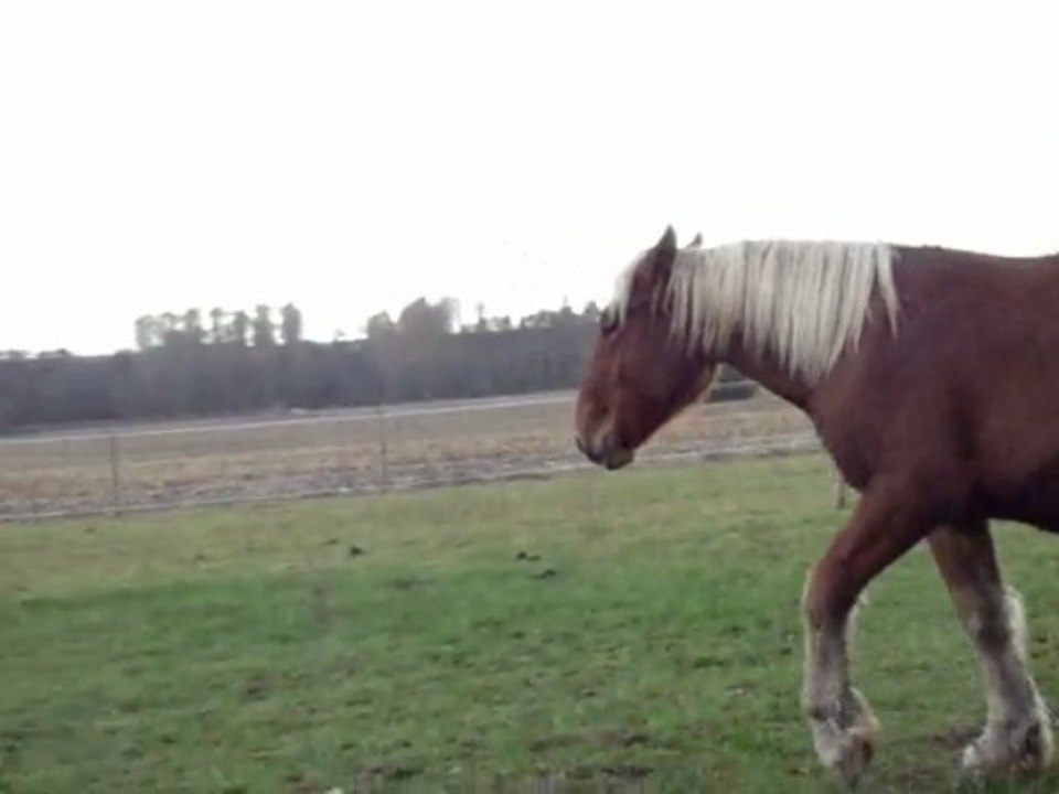 utha en rond de longe 1ere