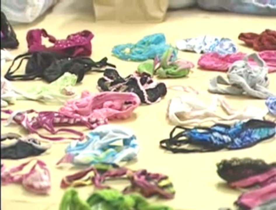 Panty thief busted