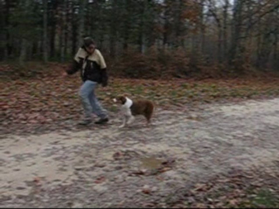 Déli, 20 mois, aux allures