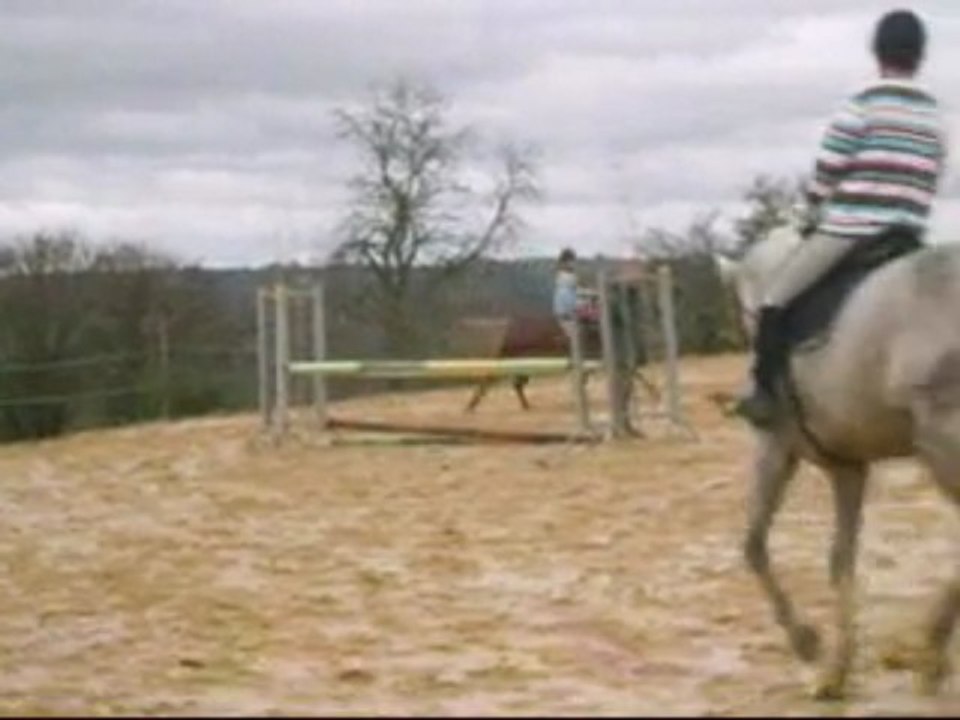 Cour de dressage ( version très raccourcie )