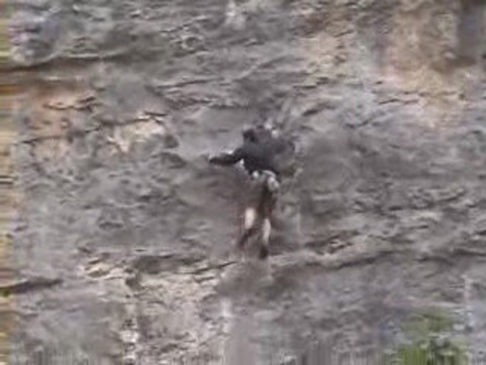 Escalade Ludo Rodellar