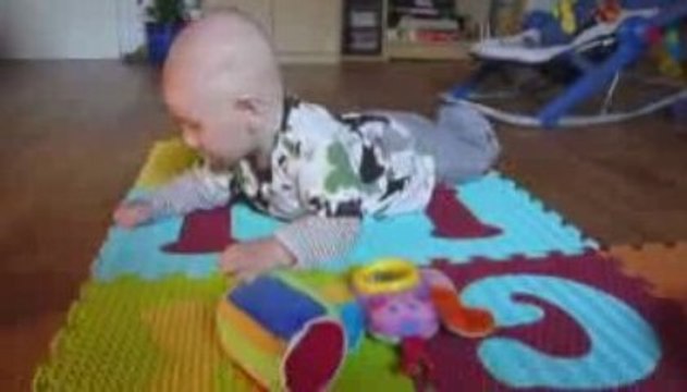 presque le quatre pattes