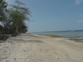 BALI LOMBOK GILLI AIR MAREE BASSE