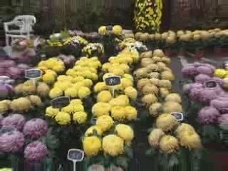 Week end de la toussaint