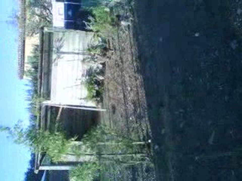 nous en train de filmer des poules ^^