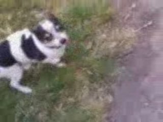 Zowee fait un coucou à ses fans