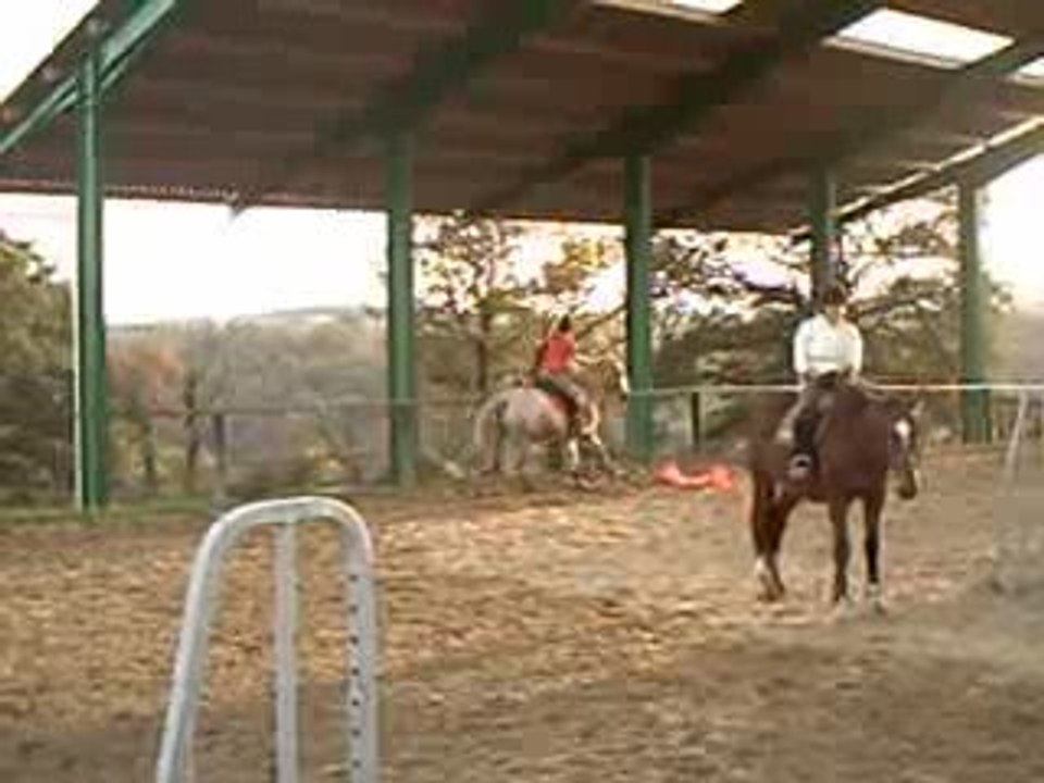 Stage obstacle aux écuries de Coutigny