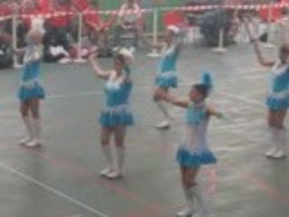 les hirondelles de zermezeele