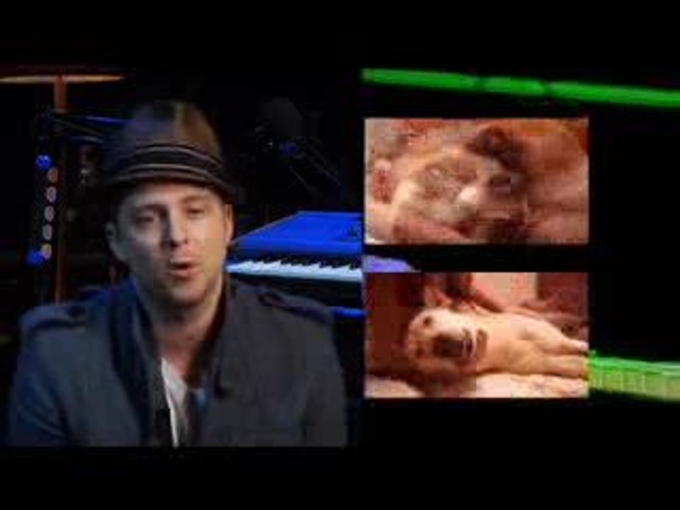 Ryan Tedder's Animal Birth Control Ad
