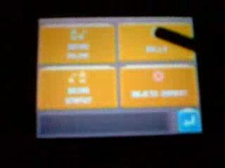 Capture d'un laporeille shiney