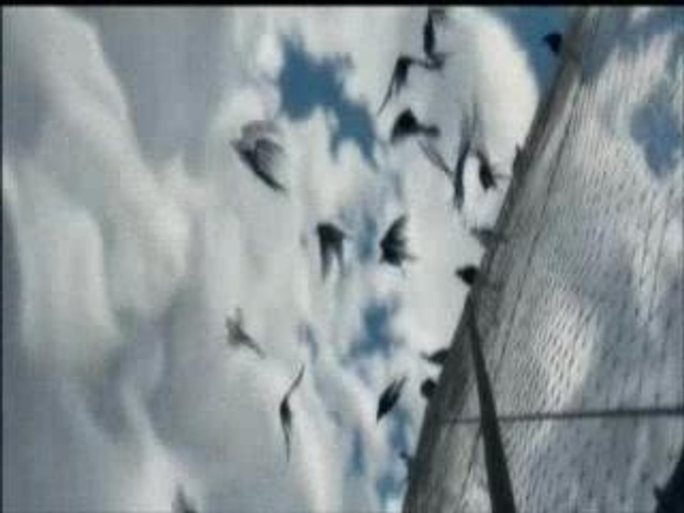 Animatrix-"Archive"(by maeth)
