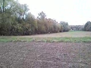 Farhann Film Marwane ( 200 Exc & 125 CR )