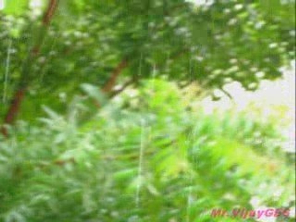 Rain in Slow Motion