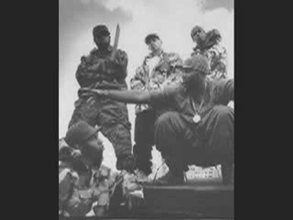 Wu Tang _ Royal Fam feat. Young Brooklyn D Wize - Blame us