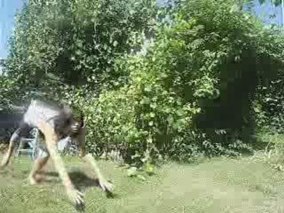 Gyym =)