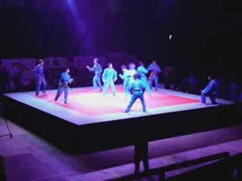 Vovinam Lancy Club Genève au salon des arts martiaux 2009