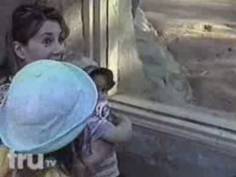 It Only Hurts When I Laugh- Just Another Manic Monkey