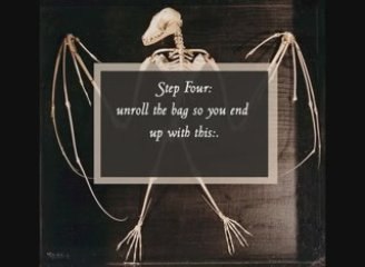 Jenky Halloween Decorations from the House of Steeze