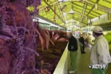 KCTS9 Spotlight on the Arts: Olympic Sculpture Park