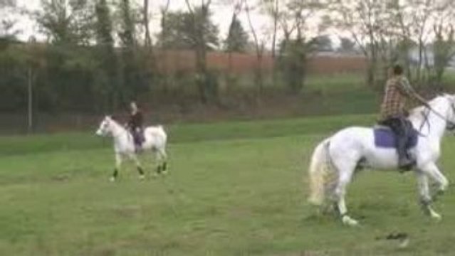 Equitation de Travail (6)