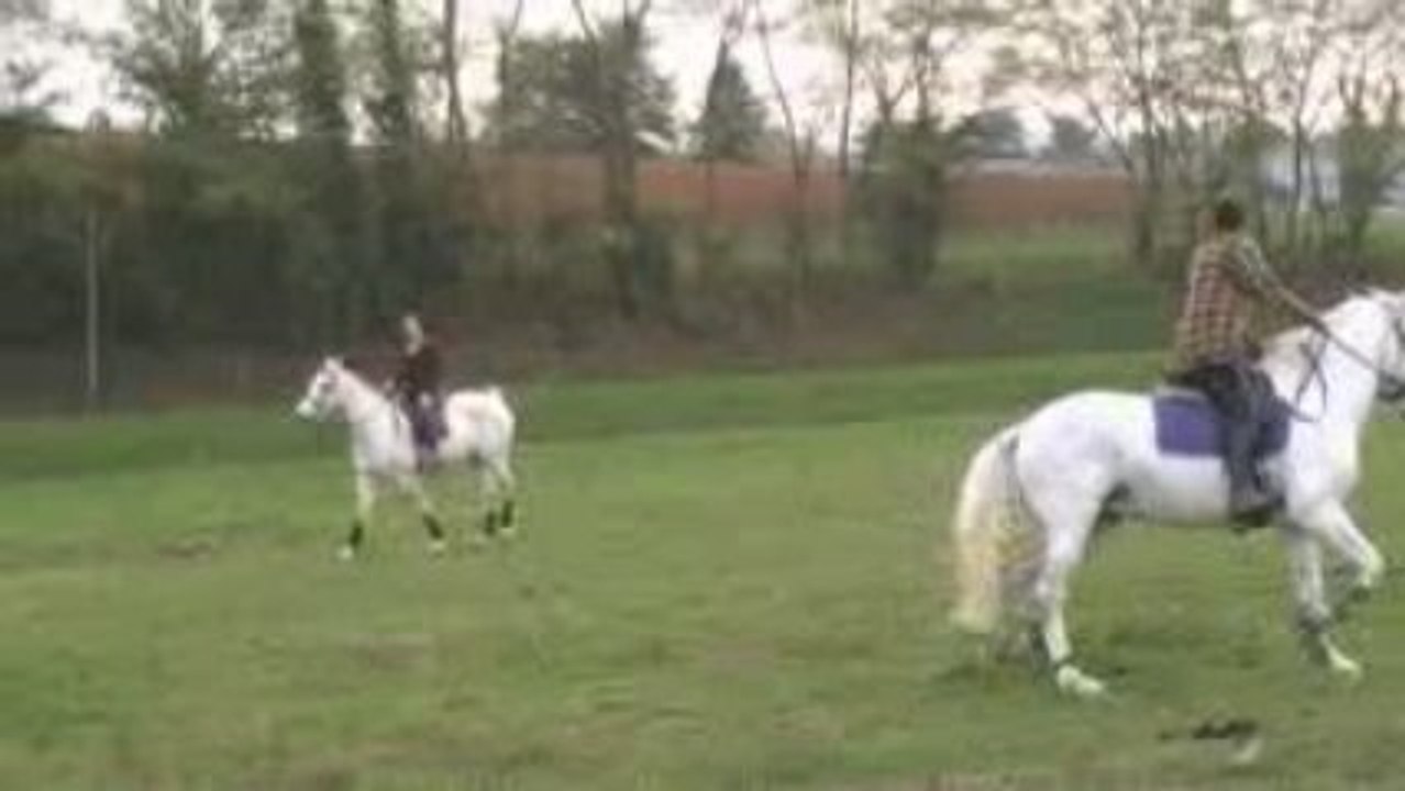 Equitation de Travail (6)