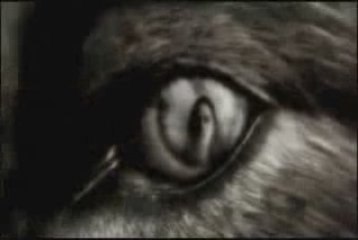 ~♥~ Angel & Sun' duO ~♥~