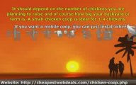 Tips For Making Cheap Chicken Coop Plans