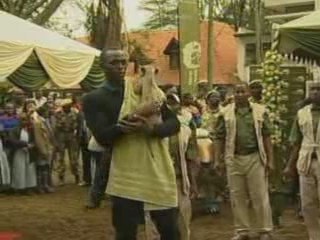 Usain Bolt adopts baby cheetah