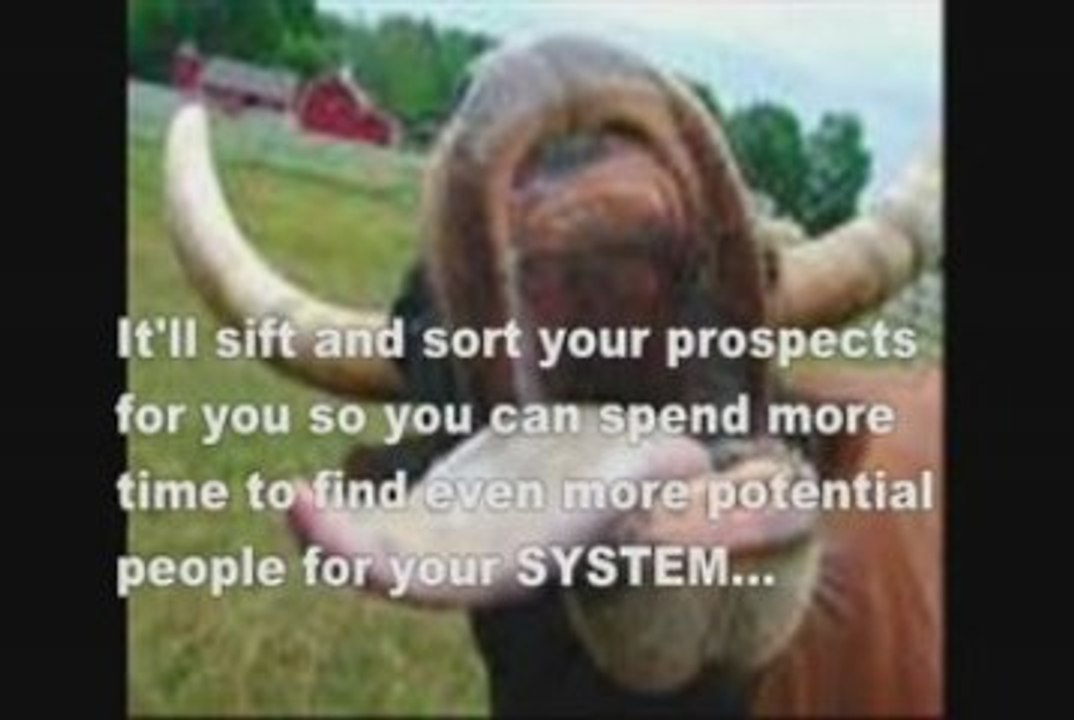 What Are The Top Network Marketing Companies  Part 1