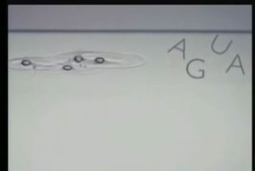 Jaime Maussan - UFO Conference 2005 6/10