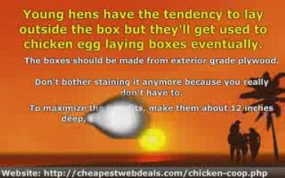 How to Make Use of Chicken Egg Laying Boxes