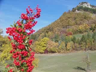 St Pancrace dans le Parc Naturel du Vercors (26 Drôme)