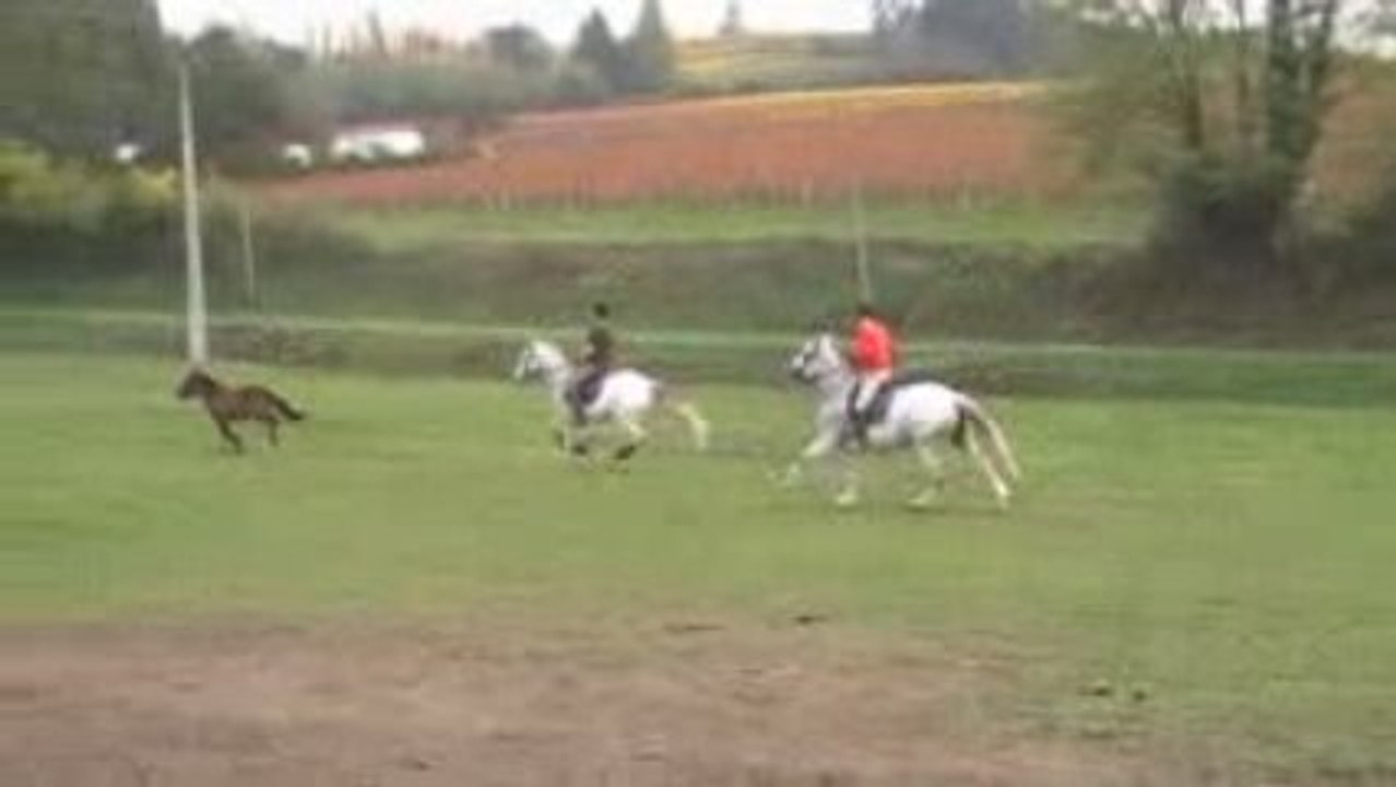 Equitation de Travail (8)